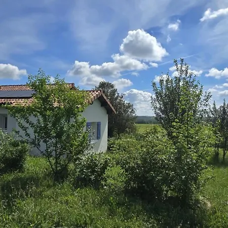 Folle Blanche En Armagnac Holiday home *